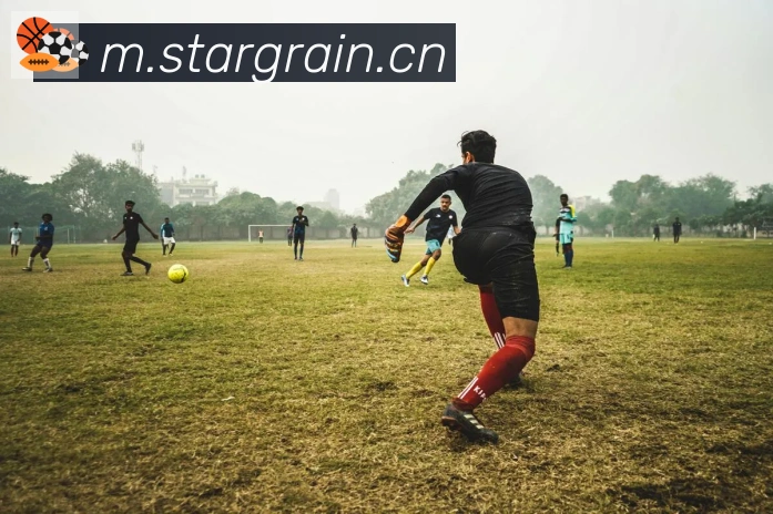 爱游戏ayx体育平台生态图