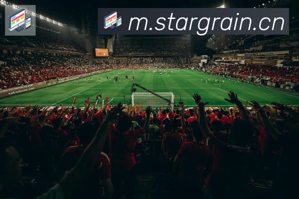 爱游戏ayx体育APP 高清赛事图