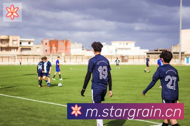 爱游戏ayx体育荣誉