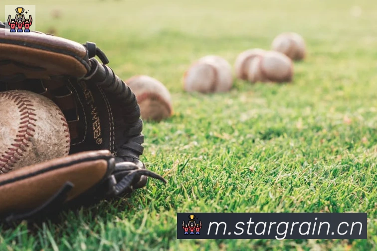 爱游戏ayx体育荣誉