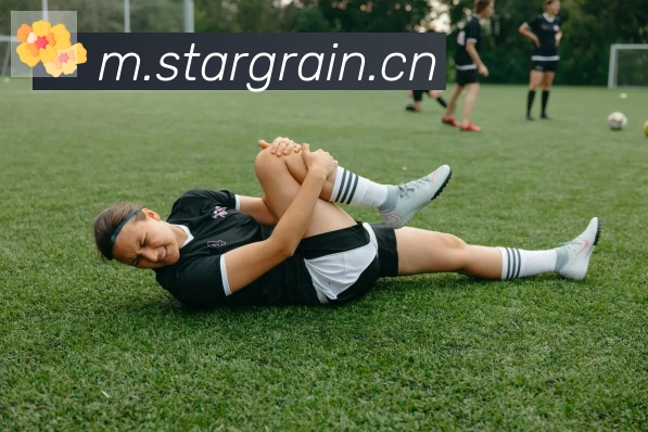 爱游戏ayx体育荣誉